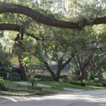 allendale-terrace-st-petersburg allendale-terrace-st-petersburg