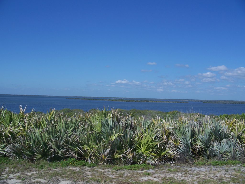 Beautiful Apollo Beach Florida