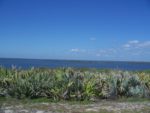 Beautiful Apollo Beach Florida